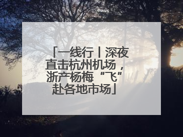 一线行丨深夜直击杭州机场，浙产杨梅“飞”赴各地市场