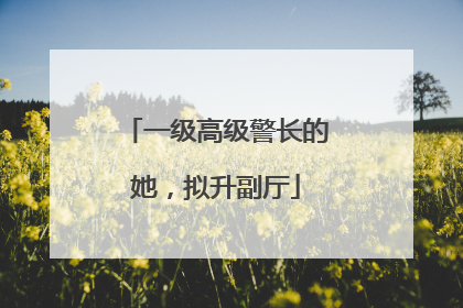 一级高级警长的她，拟升副厅