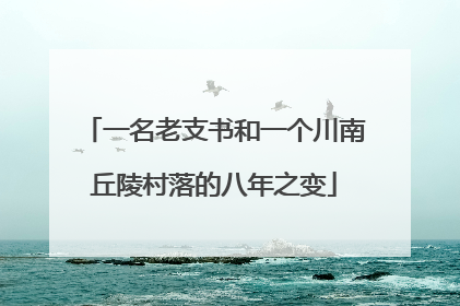 一名老支书和一个川南丘陵村落的八年之变
