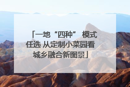 一地“四种” 模式任选 从定制小菜园看城乡融合新图景