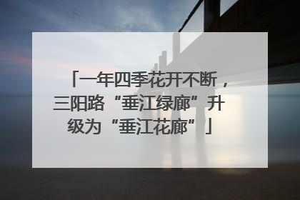一年四季花开不断，三阳路“垂江绿廊”升级为“垂江花廊”