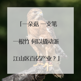 一朵菇 一支笔 一根竹 何以撬动浙江山区百亿产业？