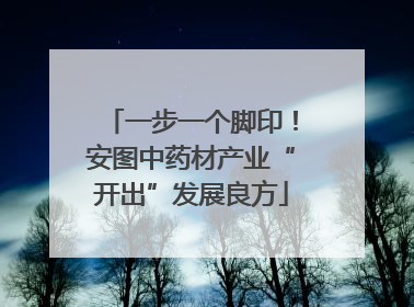 一步一个脚印！安图中药材产业“开出”发展良方