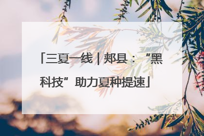 三夏一线｜郏县：“黑科技”助力夏种提速