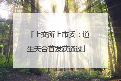 上交所上市委：道生天合首发获通过