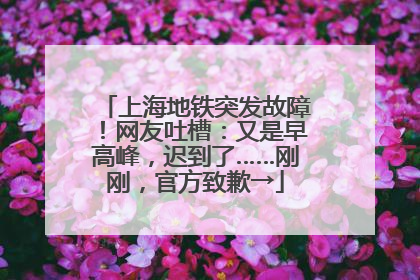 上海地铁突发故障！网友吐槽：又是早高峰，迟到了……刚刚，官方致歉→