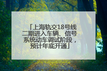 上海轨交18号线二期进入车辆、信号系统动车调试阶段，预计年底开通
