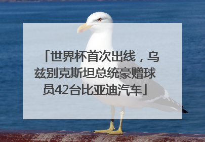 世界杯首次出线，乌兹别克斯坦总统豪赠球员42台比亚迪汽车
