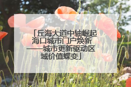 丘海大道中轴崛起 海口城市门户焕新——城市更新驱动区域价值蝶变