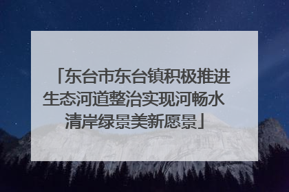 东台市东台镇积极推进生态河道整治实现河畅水清岸绿景美新愿景