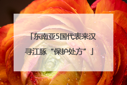 东南亚5国代表来汉寻江豚“保护处方”