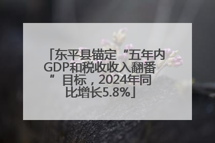 东平县锚定“五年内GDP和税收收入翻番”目标，2024年同比增长5.8%