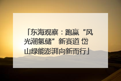 东海观察：跑赢“风光潮氢储”新赛道 岱山绿能澎湃向新而行