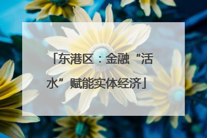 东港区：金融“活水”赋能实体经济
