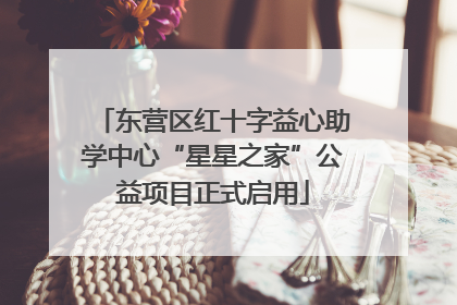 东营区红十字益心助学中心“星星之家”公益项目正式启用
