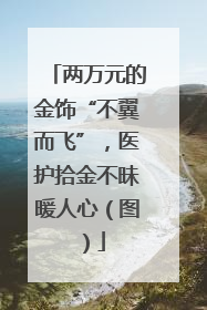 两万元的金饰“不翼而飞”，医护拾金不昧暖人心（图）