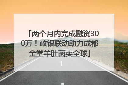 两个月内完成融资300万！政银联动助力成都金堂羊肚菌卖全球
