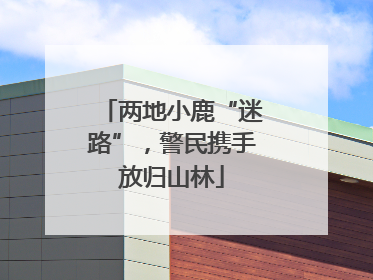 两地小鹿“迷路”，警民携手放归山林