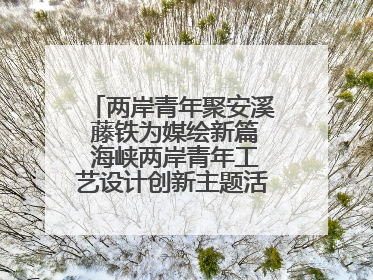 两岸青年聚安溪 藤铁为媒绘新篇 海峡两岸青年工艺设计创新主题活动开幕