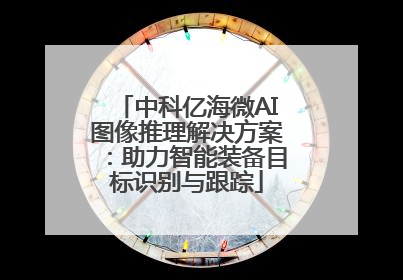 中科亿海微AI图像推理解决方案：助力智能装备目标识别与跟踪