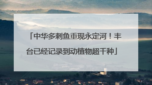 中华多刺鱼重现永定河！丰台已经记录到动植物超千种