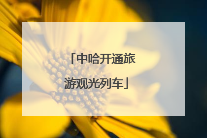 中哈开通旅游观光列车