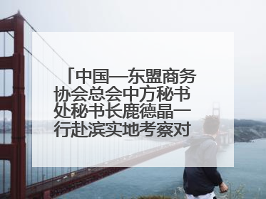 中国—东盟商务协会总会中方秘书处秘书长鹿德晶一行赴滨实地考察对接合作
