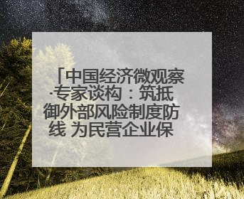 中国经济微观察·专家谈构：筑抵御外部风险制度防线 为民营企业保驾护航