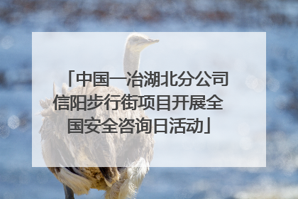 中国一冶湖北分公司信阳步行街项目开展全国安全咨询日活动