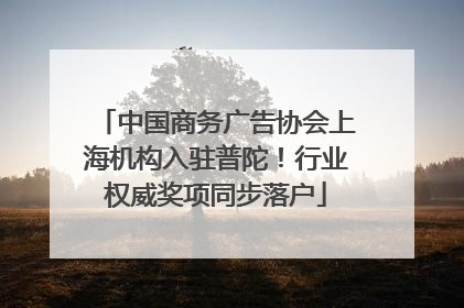 中国商务广告协会上海机构入驻普陀！行业权威奖项同步落户