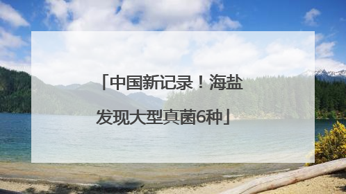 中国新记录！海盐发现大型真菌6种