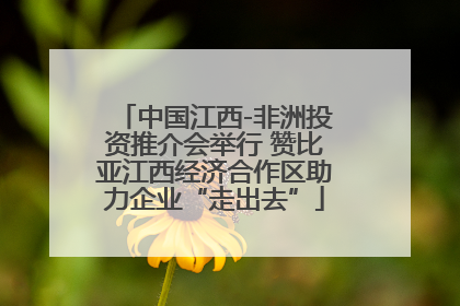 中国江西-非洲投资推介会举行 赞比亚江西经济合作区助力企业“走出去”