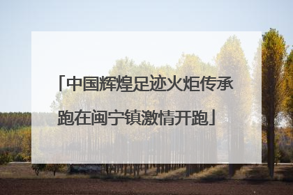 中国辉煌足迹火炬传承跑在闽宁镇激情开跑