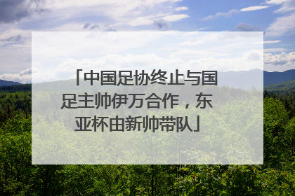 中国足协终止与国足主帅伊万合作，东亚杯由新帅带队
