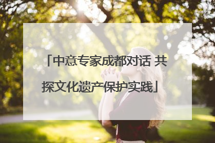 中意专家成都对话 共探文化遗产保护实践