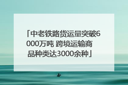 中老铁路货运量突破6000万吨 跨境运输商品种类达3000余种
