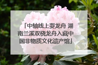中轴线上耍龙舟 湖南兰溪双桡龙舟入藏中国非物质文化遗产馆