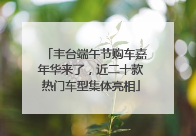 丰台端午节购车嘉年华来了，近二十款热门车型集体亮相
