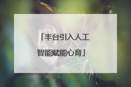 丰台引入人工智能赋能心育