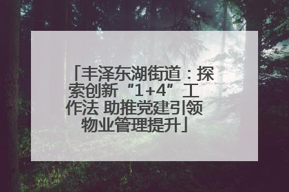 丰泽东湖街道：探索创新“1+4”工作法 助推党建引领物业管理提升