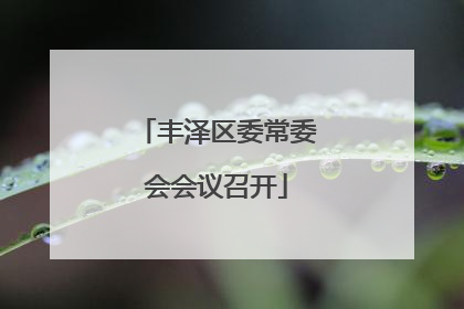 丰泽区委常委会会议召开