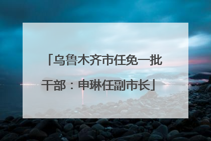乌鲁木齐市任免一批干部：申琳任副市长