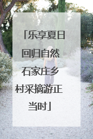 乐享夏日 回归自然 石家庄乡村采摘游正当时
