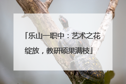 乐山一职中：艺术之花绽放，教研硕果满枝