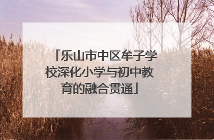 乐山市中区牟子学校深化小学与初中教育的融合贯通
