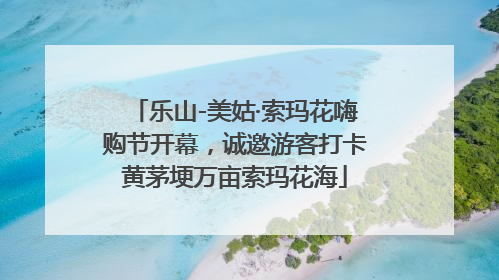 乐山-美姑·索玛花嗨购节开幕，诚邀游客打卡黄茅埂万亩索玛花海