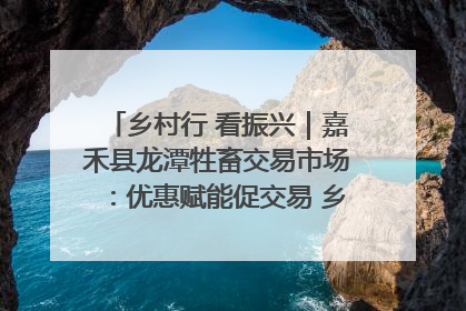 乡村行 看振兴｜嘉禾县龙潭牲畜交易市场：优惠赋能促交易 乡村振兴添动能