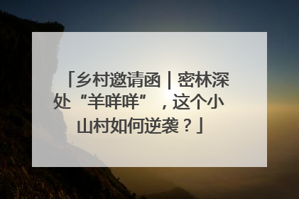 乡村邀请函｜密林深处“羊咩咩”，这个小山村如何逆袭？