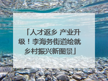 人才返乡 产业升级！李海务街道绘就乡村振兴新图景