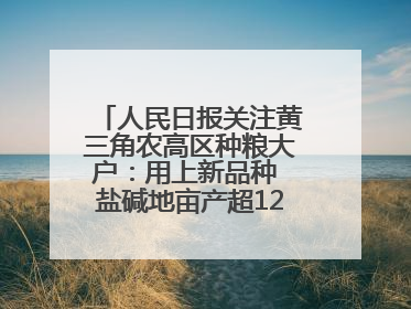人民日报关注黄三角农高区种粮大户：用上新品种 盐碱地亩产超1200斤